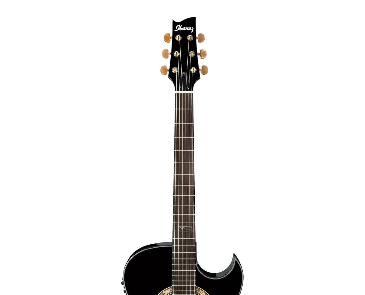 Black Pearl Electric Guitar D190