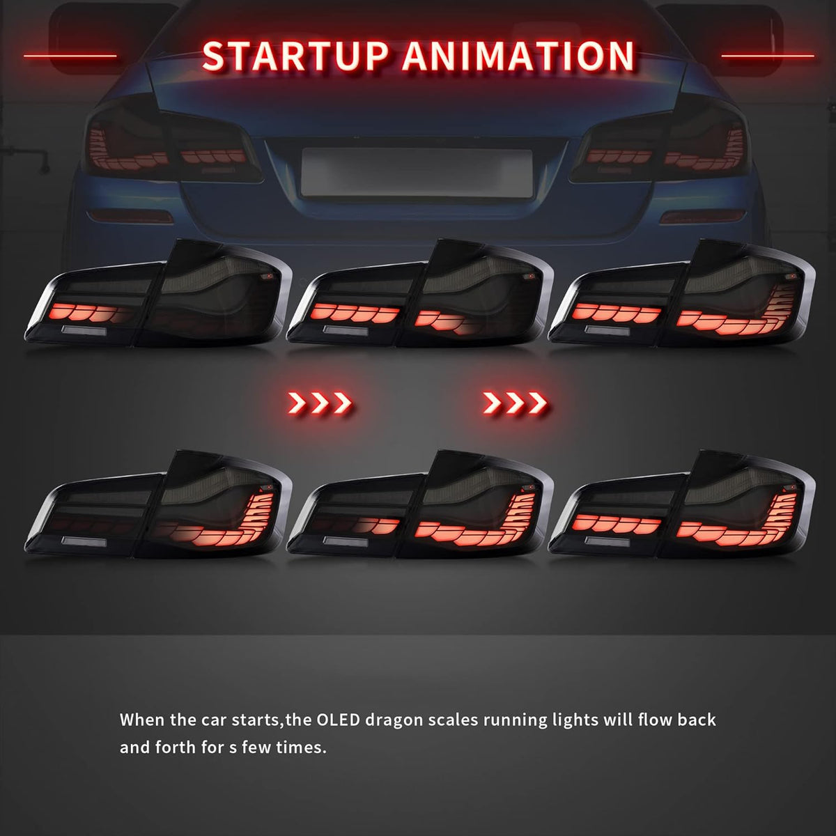 VLAND OLED Smoked Tail Lights F2263