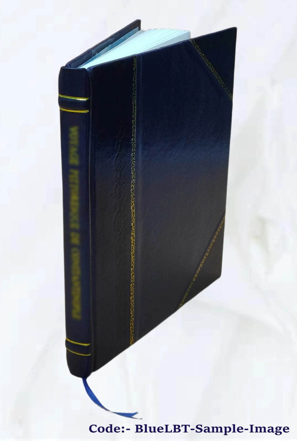 Leather Bound Book Q819