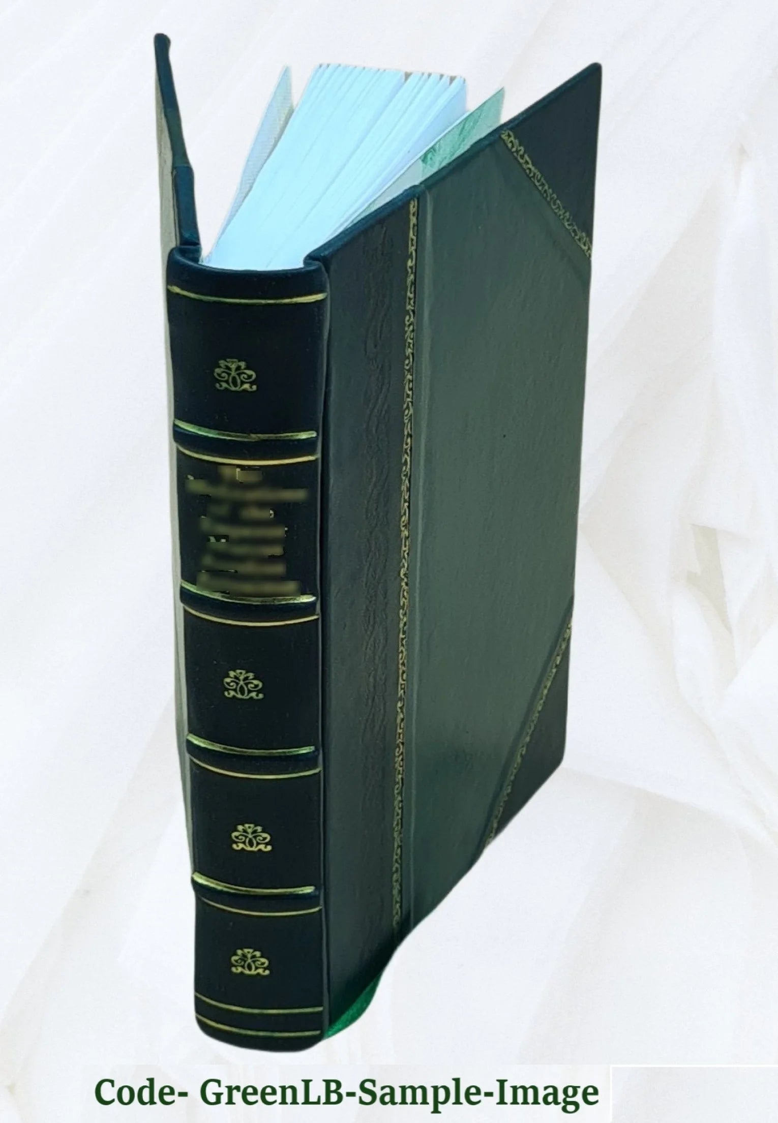 Sailing sunny seas; a story of travel in Jamaica, Honolulu, Haiti, Santo Domingo, Porto Rico, St. Thomas, Dominica, Martinique, Trinidad and the West Indies 1909 [Leather Bound] B655