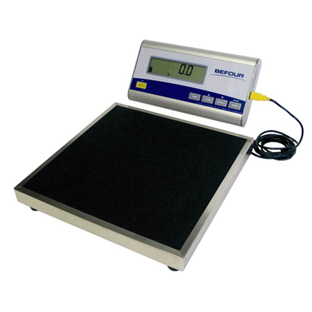 Portable Scale with LCD Display P519503