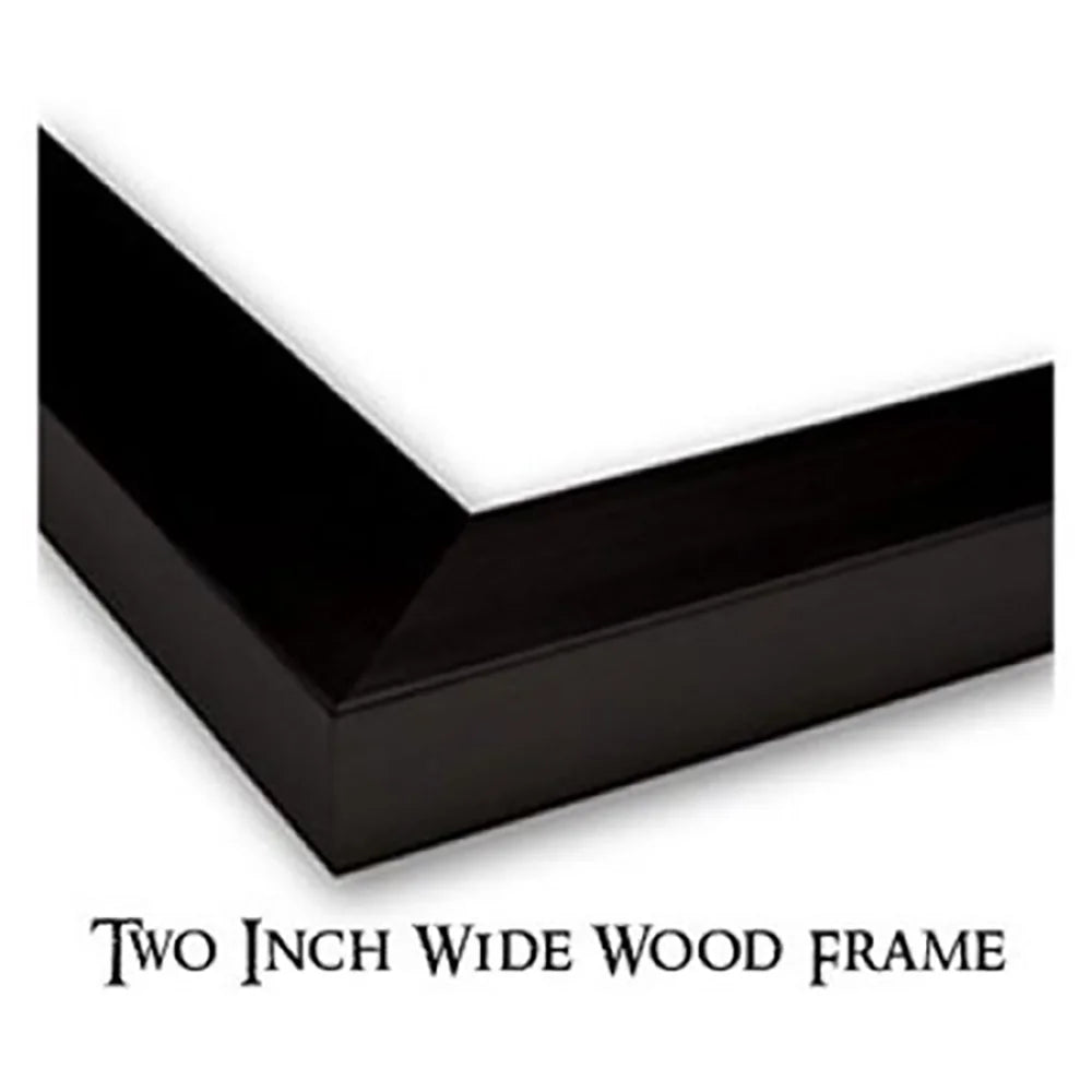 Black Modern Framed Museum Art Print R64478