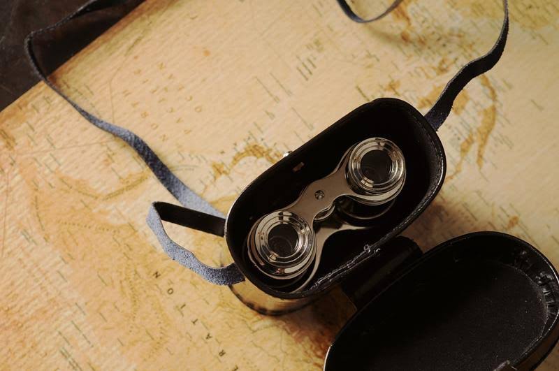 Brass Binocular with Leather Case Q650396