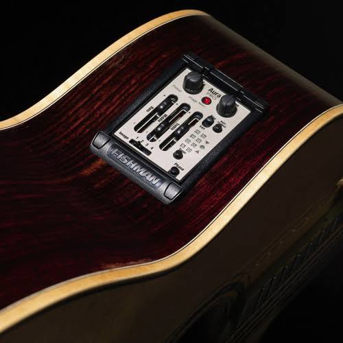 Narrow Format Onboard Aura Pro Preamp V14758