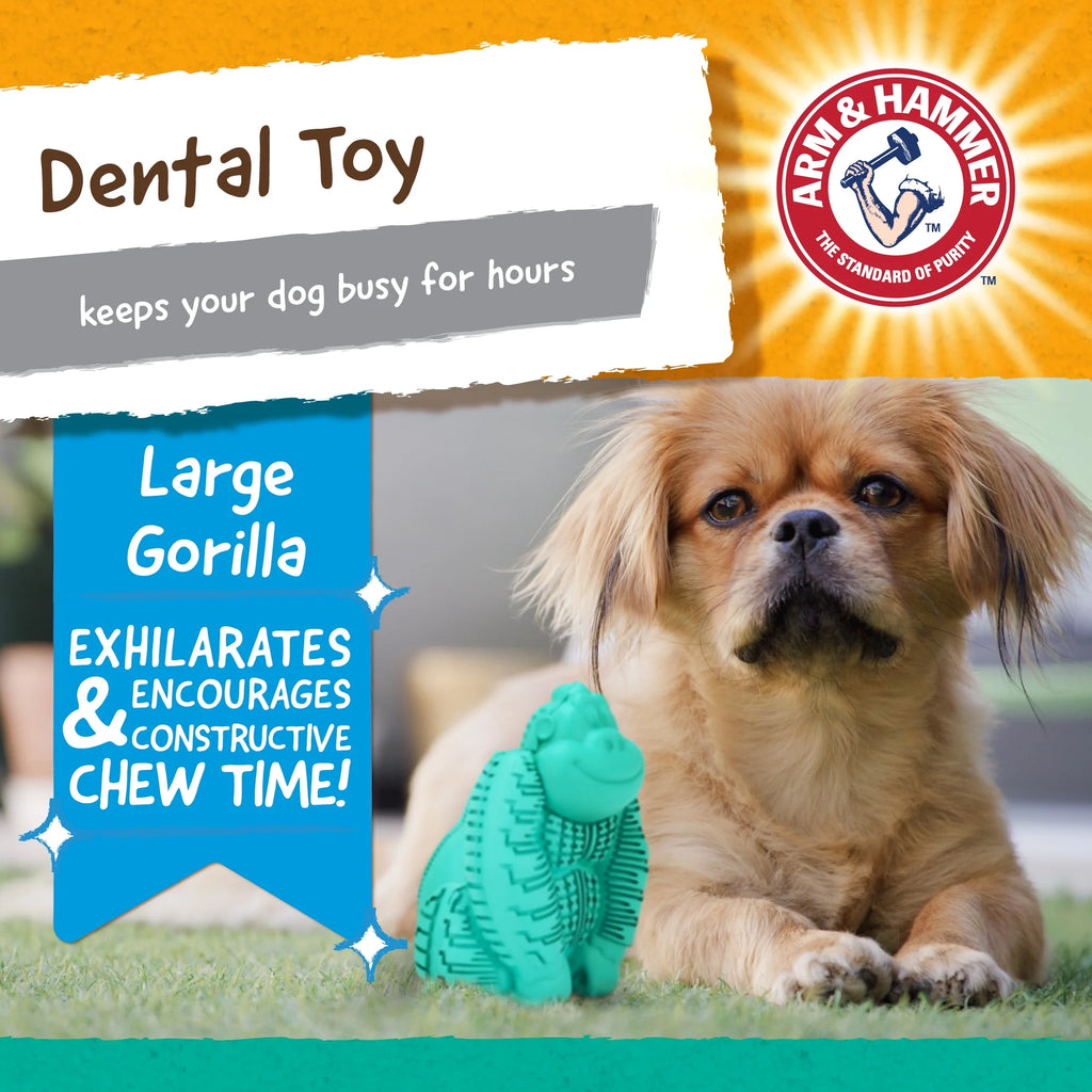 Teal Durable Dog Toy B22969
