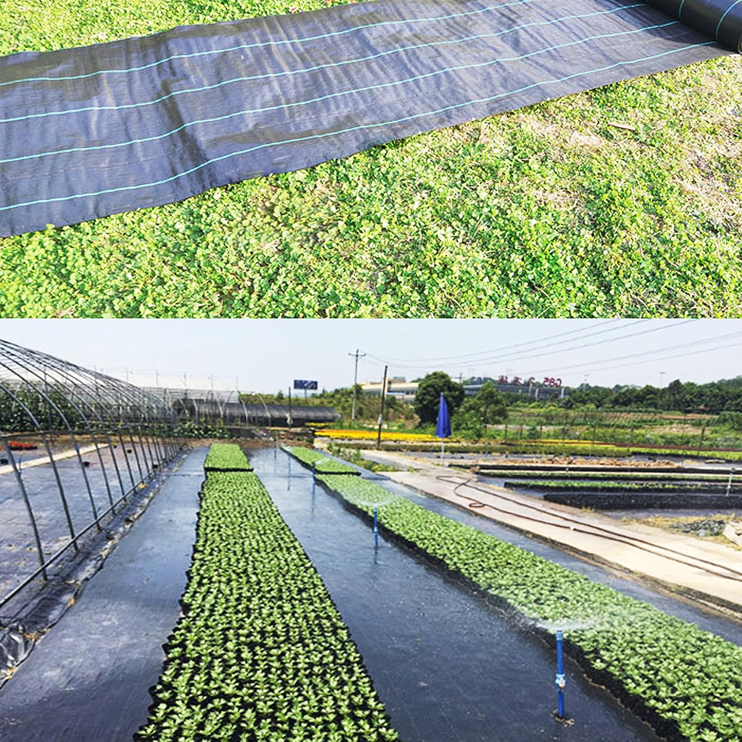 Heavy-Duty Weed Barrier Garden Fabric (3ft x 100ft) Z890874