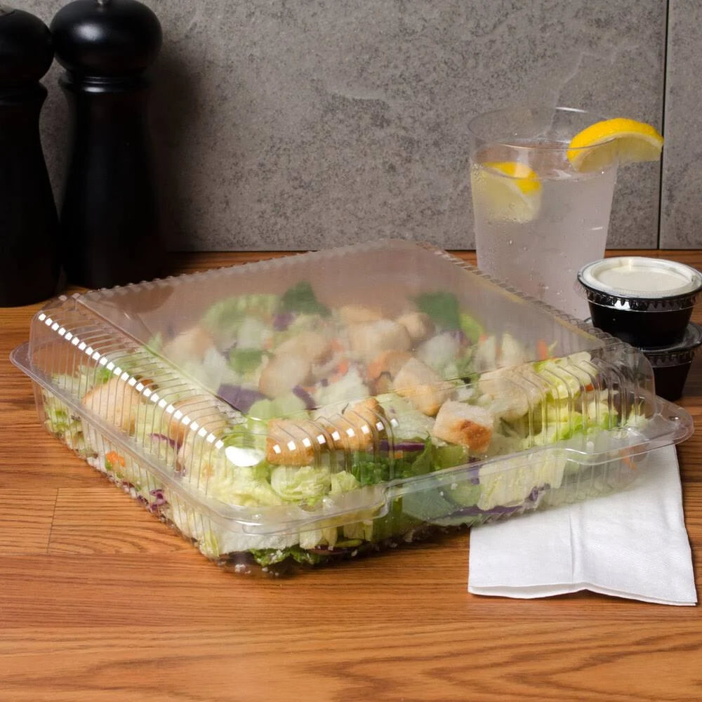 Clear Hinged Plastic Square Container - 250/Case O51054