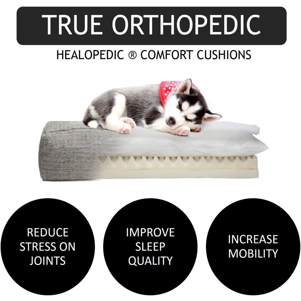 Orthopedic Dog Bed Linen, Size: Large C997