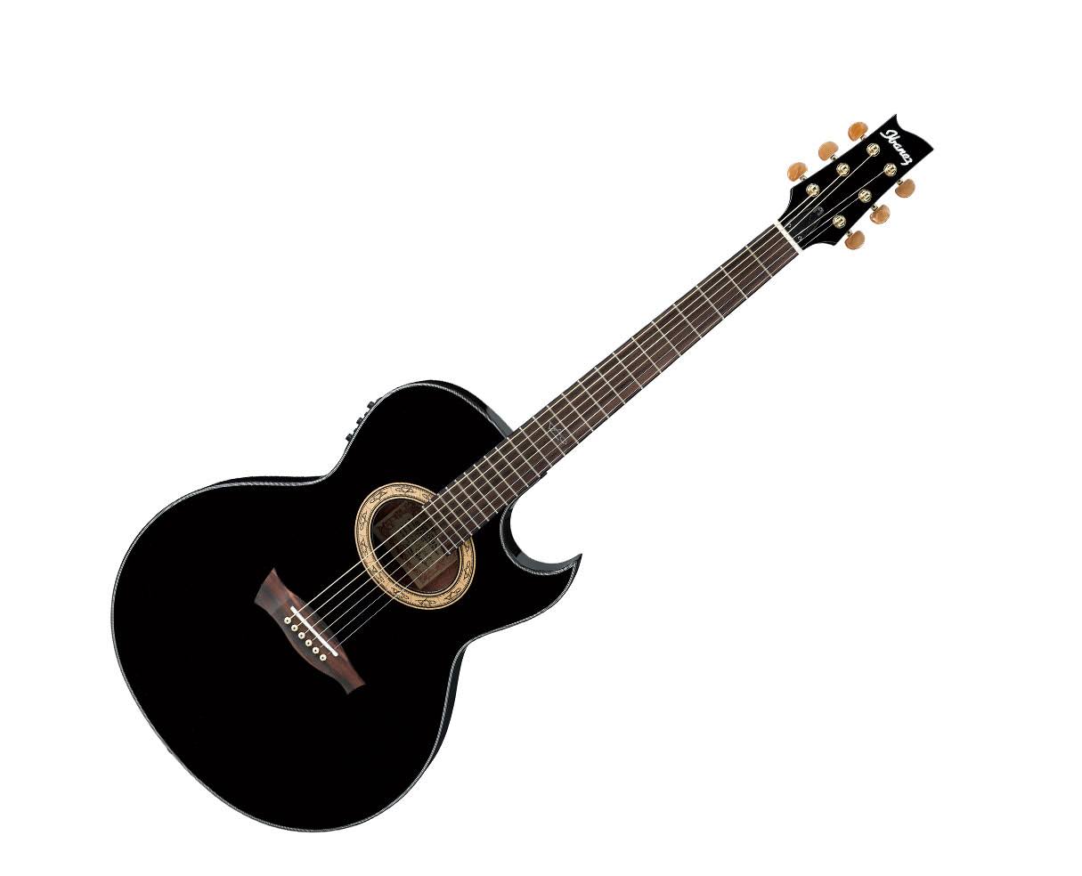 Black Pearl Electric Guitar D190