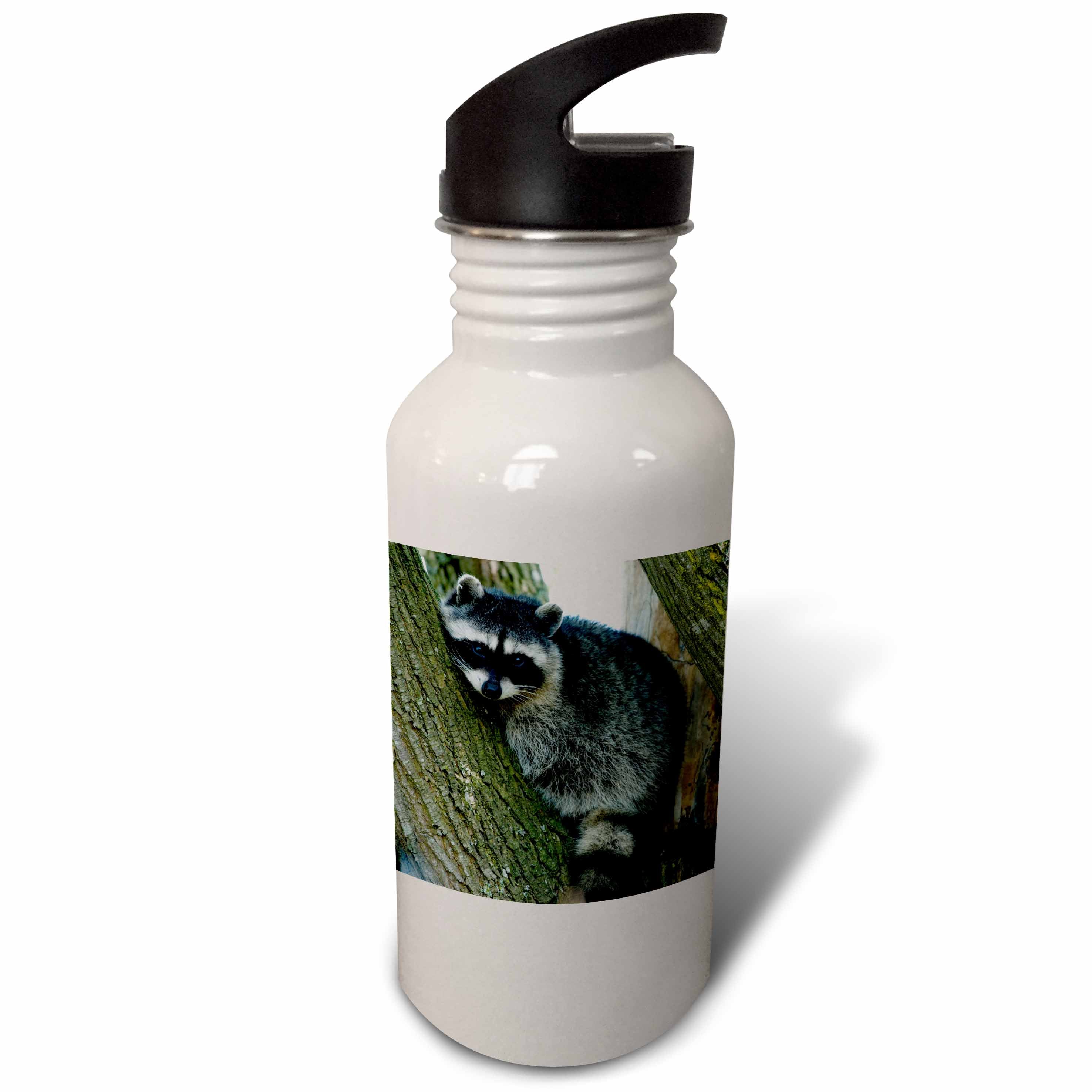21 oz Sports Water Bottle W725