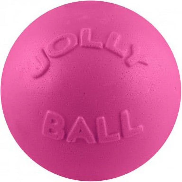Pink 6 inch Rubber Dog Toy C654