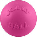 Pink 6 inch Rubber Dog Toy C654