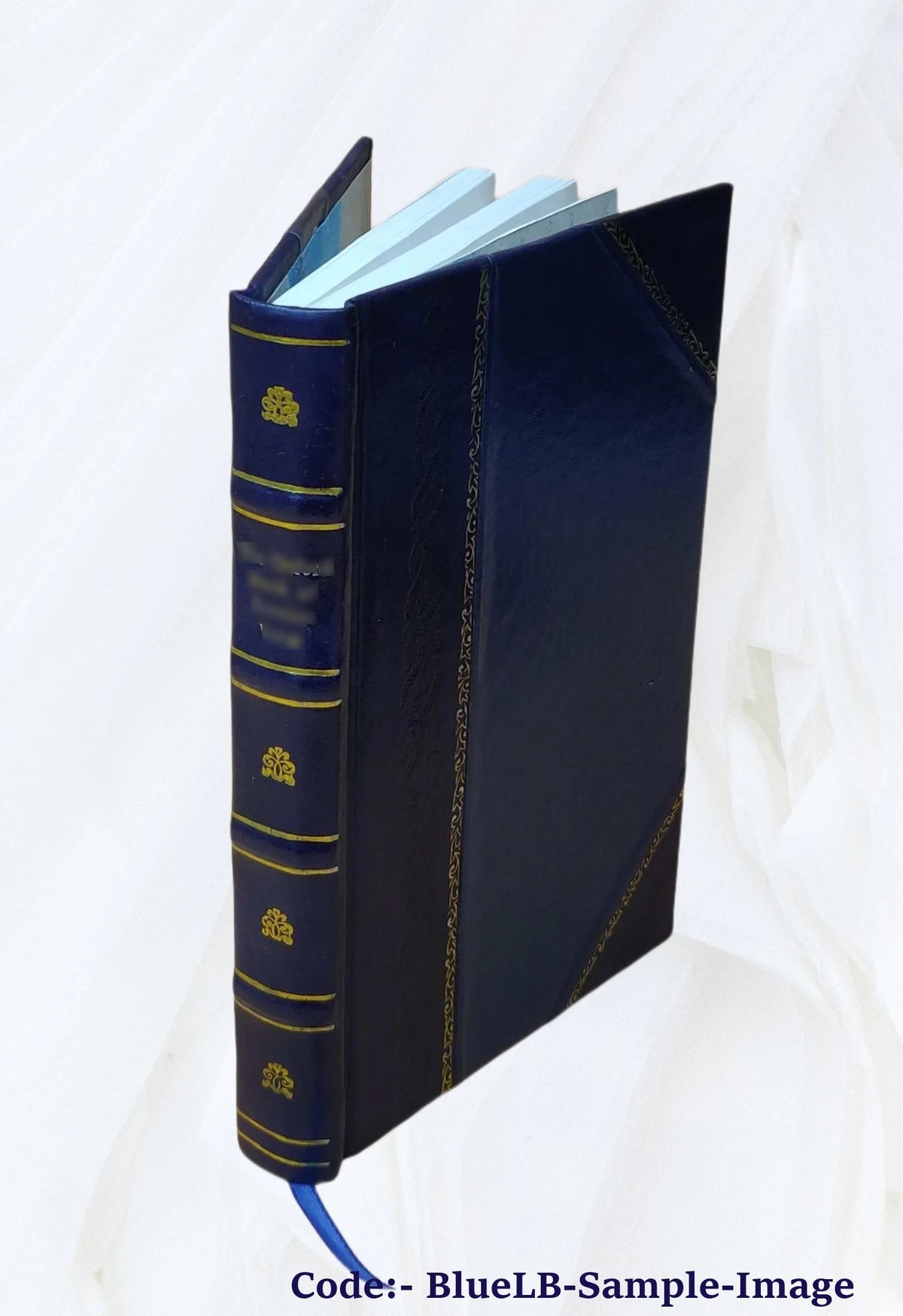 Sailing sunny seas; a story of travel in Jamaica, Honolulu, Haiti, Santo Domingo, Porto Rico, St. Thomas, Dominica, Martinique, Trinidad and the West Indies 1909 [Leather Bound] B655