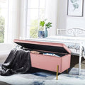 Velvet Pink Storage Ottoman Bench Y167365