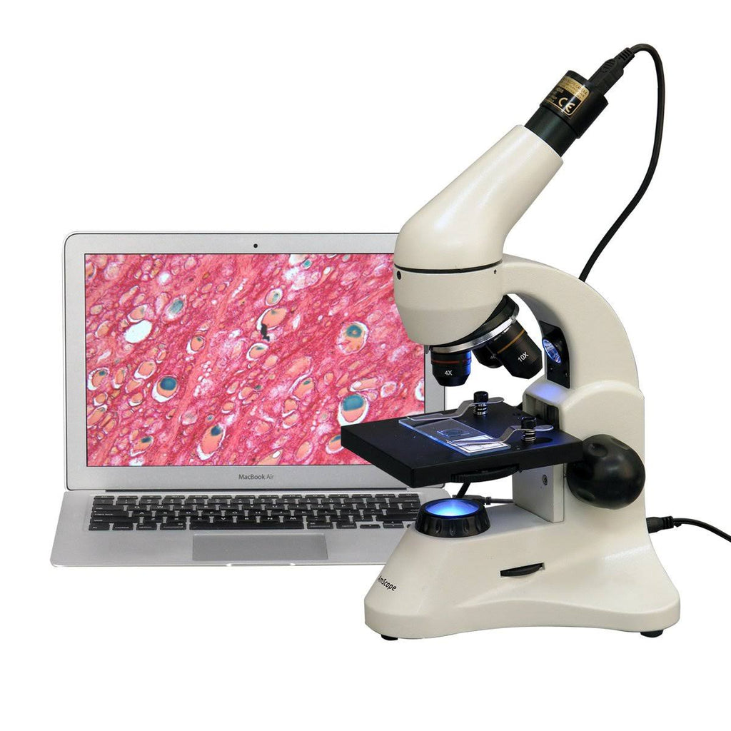 40X-800X Dual Light Student Compound Microscope I87455