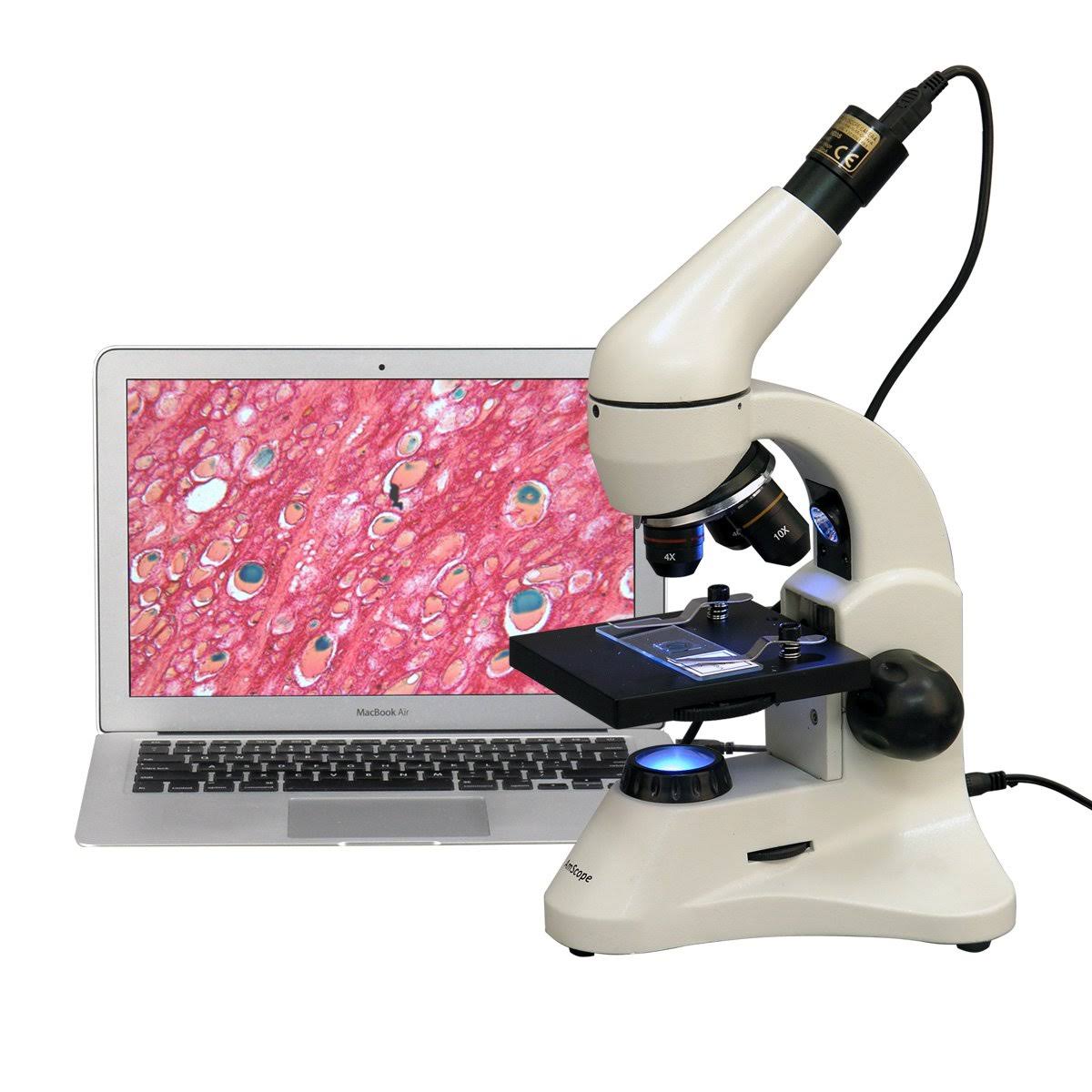40X-800X Dual Light Student Compound Microscope I87455