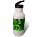 Green Abstract Fractal Sports Water Bottle 21 oz X88548