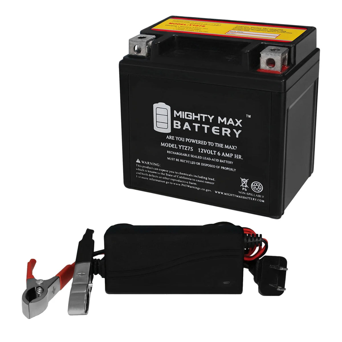 12V 1Amp Battery Replacement with Charger T55397