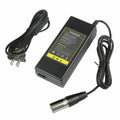 36V Battery Charger Z4341