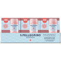 267.6 fl oz Flavored Mineral Water Q2311