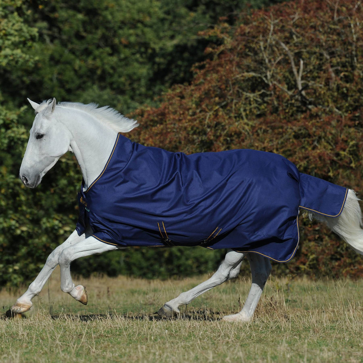 Navy / Gold Light High Neck Turnout Z6292