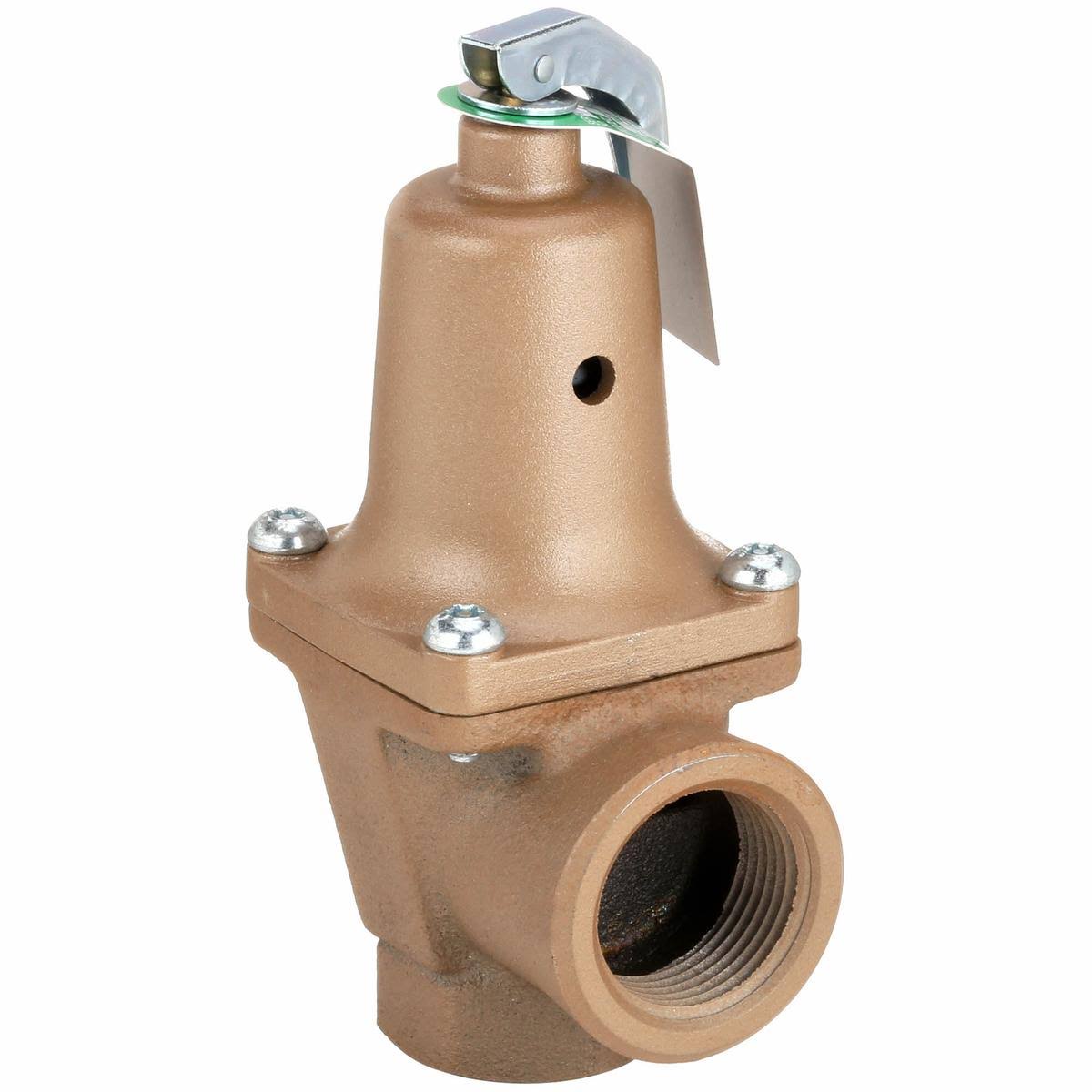 Safety Relief Valve, 3/4 x 1in, 75psi, Iron C17519