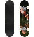 31"x8" Pro Complete Skateboard Cruiser J643
