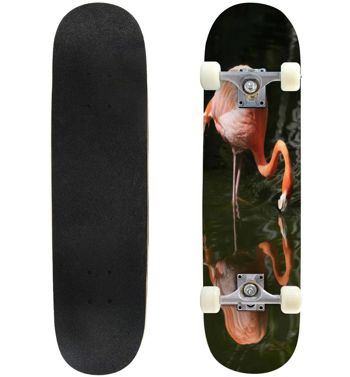 31"x8" Pro Complete Skateboard Cruiser J643