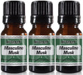 Masculine Musk Fragrance Oil 10 ml / 0.33 oz - Pack of 3 U2813