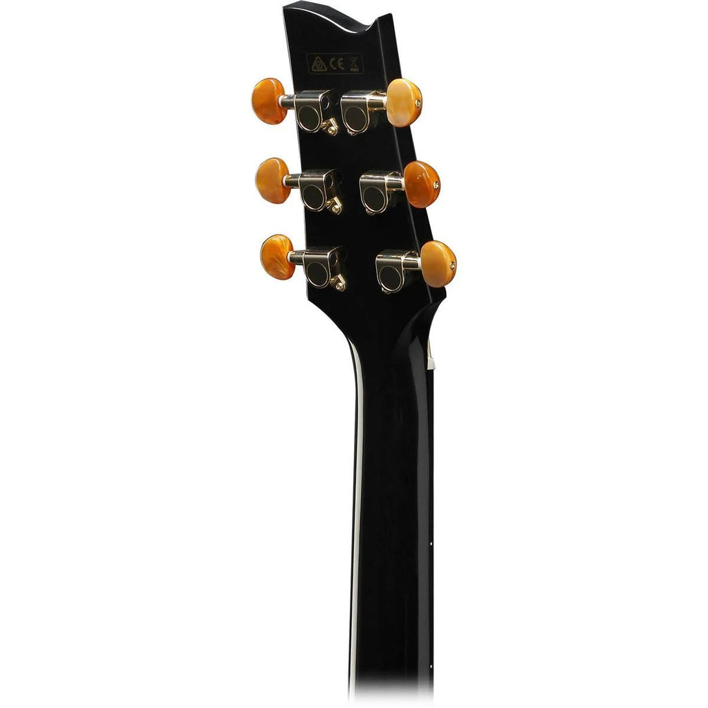 Black Pearl Acoustic-Electric Guitar C46422