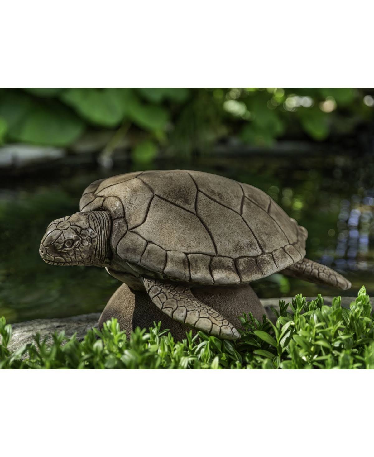 Cast Stone Large Sea Turtle, Verde B618