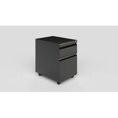 Black/Gray 2-Drawer Mobile Vertical Filing Cabinet K973