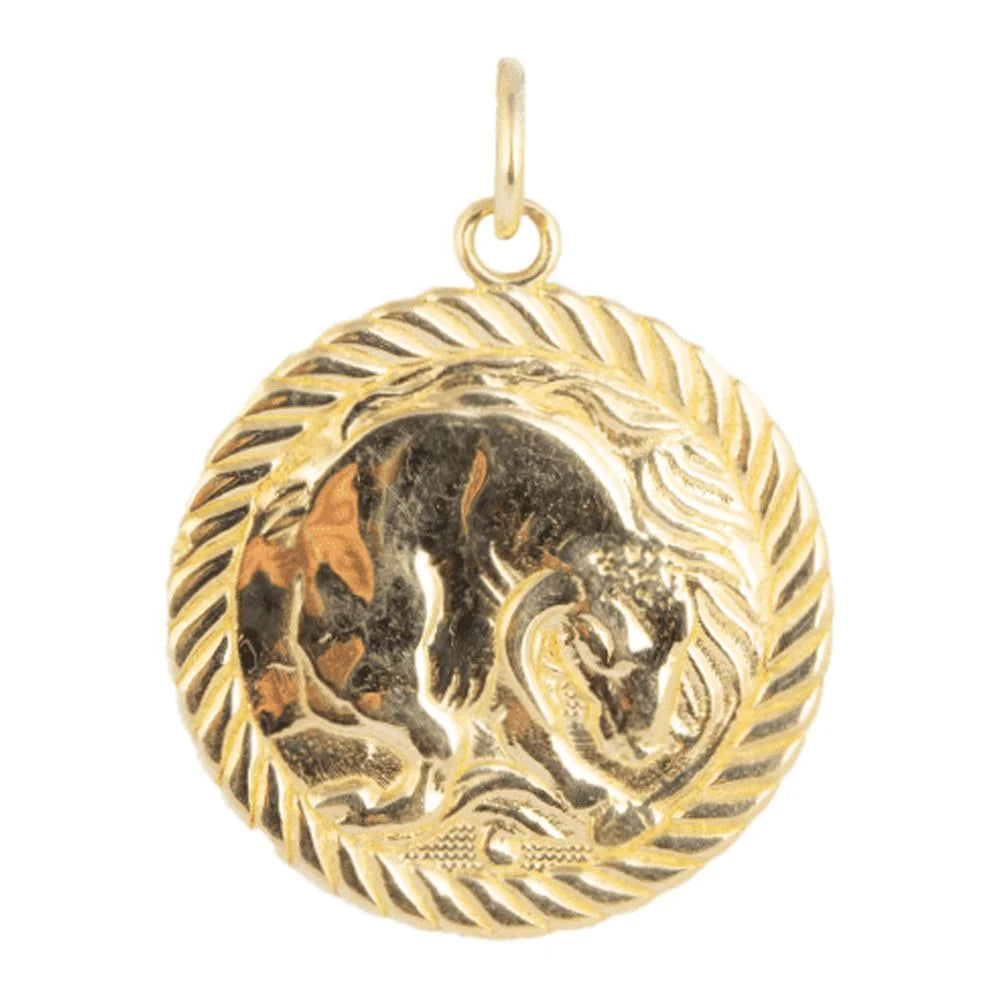 Solid Gold Zodiac Charm Coin Pendant Necklace 20 Inches N84184