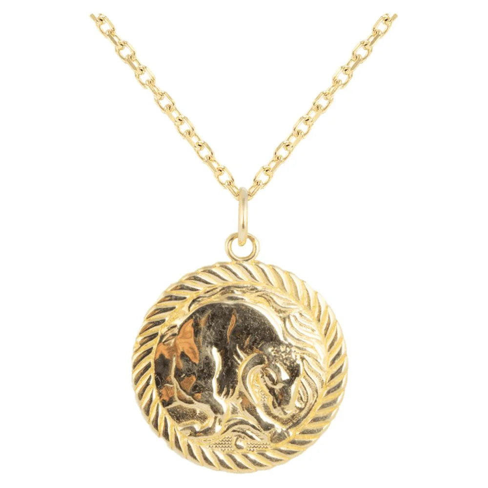 Solid Gold Zodiac Charm Coin Pendant Necklace 20 Inches N84184