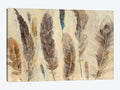 Feather Study Canvas Wall Decor Prints W410