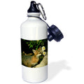 21 oz Sports Water Bottle L6534