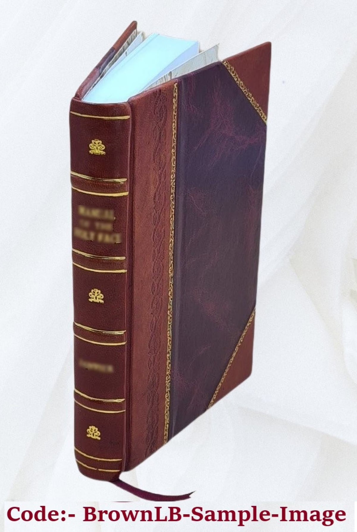 Leather Bound Book B381298