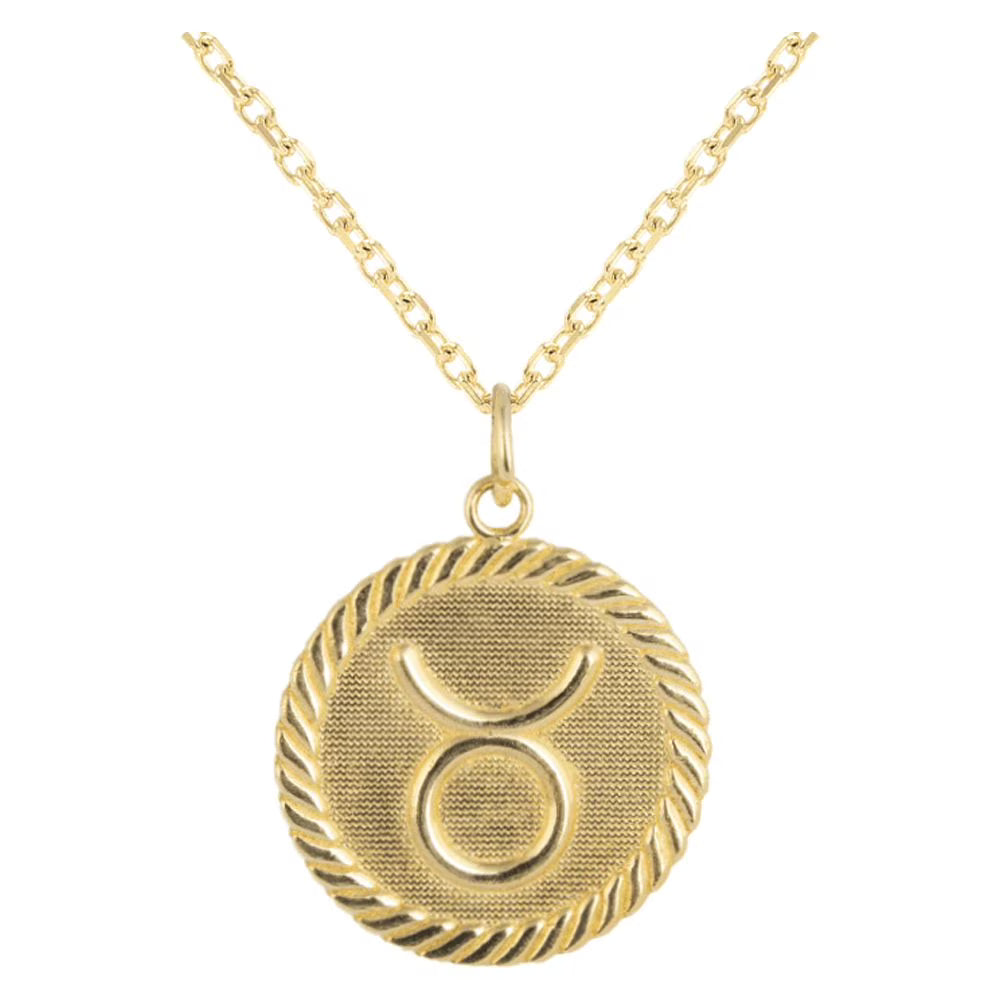 Solid Gold Zodiac Charm Coin Pendant Necklace 20 Inches N84184