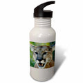 21 oz Sports Water Bottle T842078