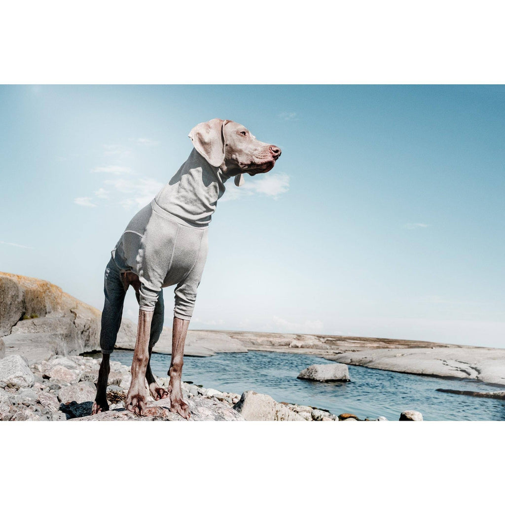 Carbon Grey Dog Body Warmer Z2459