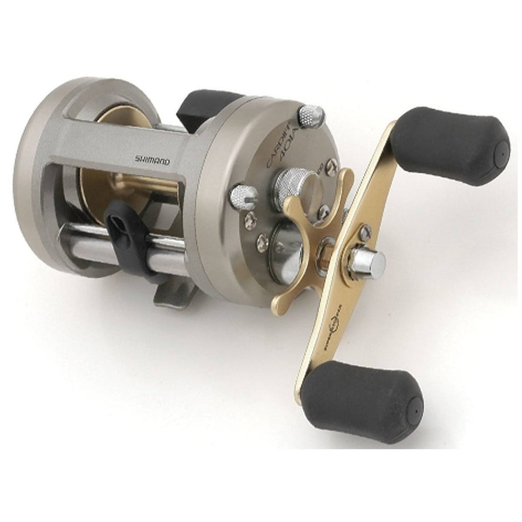 Cardiff Reel Y906256