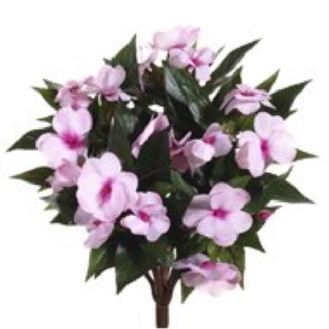 13.7 in. Pink Light Guinea Impatiens Bushes Case of 6 C993